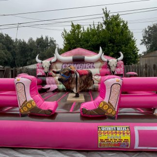 #2 PINK MECHANICAL BULL